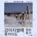 행운카서비스 | 삿포로 오비히로 개썰매 타고 3박4일 렌터카 여행 코스 후기