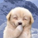 날마다좋은날 이미지