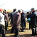 서천 청덕사 이미지