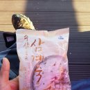 추자초등학교신양분교장 | 백패킹 성지 제주도, 추자도 3편