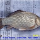 대산-2 이미지