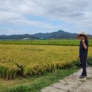 식이네농장 이미지