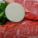 우렁찬 명품한우 이미지