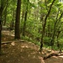 충청도양반길(2코스) 이미지