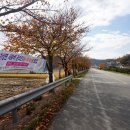 기성계곡 이미지