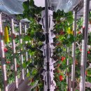 대한스마트타워 이미지