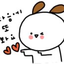 월드DSC 이미지