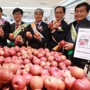 거창(광주) 이미지