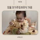 모윰 자기주도 이유식 가운 후기 식탁 일체형 촉감놀이 채소스틱 핑거푸드