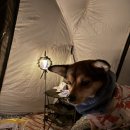 강화남부농협주유소 이미지