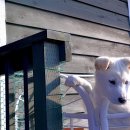 제주한우리 이미지