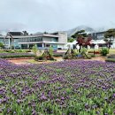 지리산허브밸리 이미지