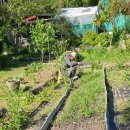 뽑고 또 뽑기 이미지