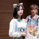미냥이 이미지