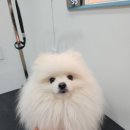 포도미용실 - 양평군 | 포도미용실