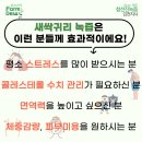 참선진녹즙팜듀김천지사