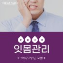 치석제거 치실 추천 플라그제거 잇몸관리로 좋아