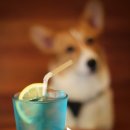 봉자카페