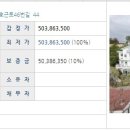 서호동-46 Daum카페