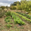 죽성쌀롱 이미지