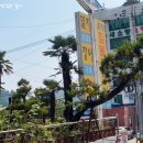 오양짚불곰장어 네이버블로그
