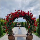 곡성-118 이미지