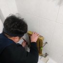 우성동백 이미지