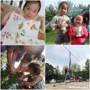 숲들내캠핑장 이미지