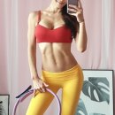 다솔집 이미지
