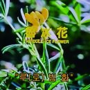 영화로 보는 역사이야기 이미지