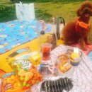 도기키친 프롬제주 이미지