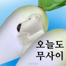 홀리데이투어 이미지