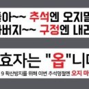 정선이네 이미지