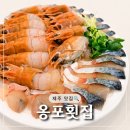 푸짐회 | 옹포횟집 제주한림협재본점 - 협재 회포장 맛집 | 고등어회·딱새우회, 푸짐한 스끼다시 후기