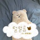 새로운 애착베개 소개🐻 [프로젝트슬립 털털곰 후기]
