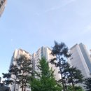 큰나무희망어린이집 | 내향형이 살면 좋은 한가로운 석수역 푸르지오 내돈내산 안양만안구 7억대 아파트 6개월거주 후기