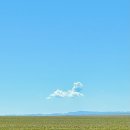 구름강아지 이미지