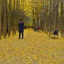 만추 - 달성군 | 만추