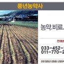철원농약사 이미지
