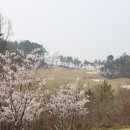 다산베아채골프앤리조트 이미지