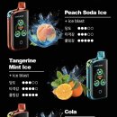 진영전자담배