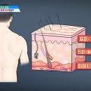 비엘에스의원 이미지