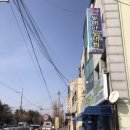 동해안 동태찜 이미지
