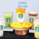 성지TS 이미지