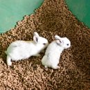 계룡산목장 이미지