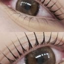 분당-272 이미지