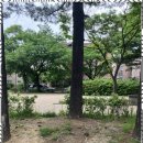 빈클래식음악학원 - 양천구 신목로5길 13 | 빈클래식음악학원