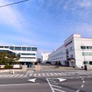 수출대로-9 이미지