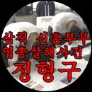 삼척 엽총신혼부부 살인범. 정형구. 이미지