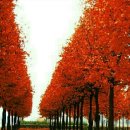 태장2동주민센터 이미지